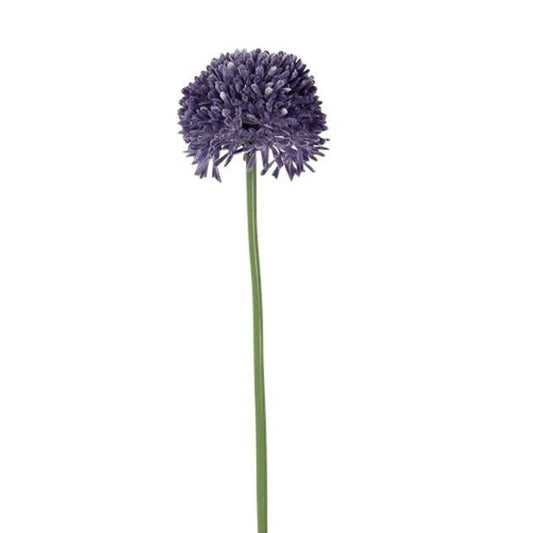 Large purple leek