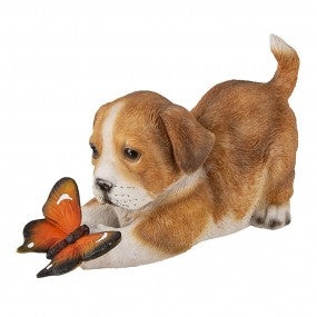Dog with butterfly