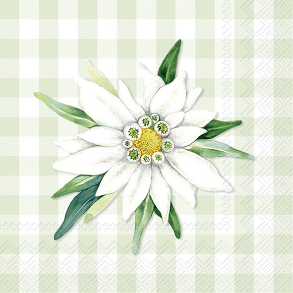 Edelweiss and Gentian
