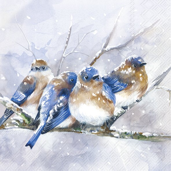 Cuddly Birdies