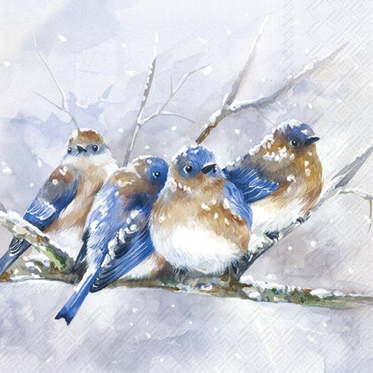 Cuddly Birdies
