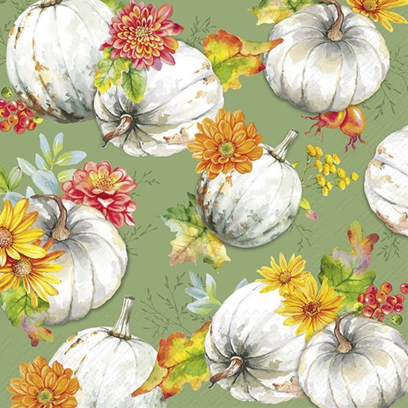 Cucurbita and Flowers