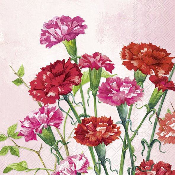 Bunch of Carnations