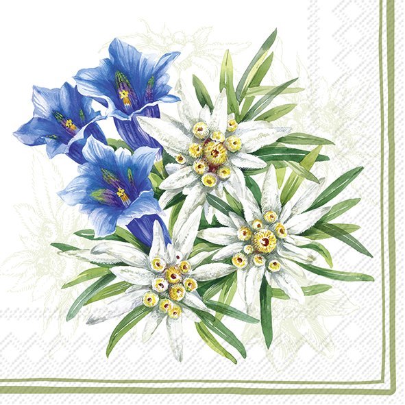 Gentian and Edelweiss