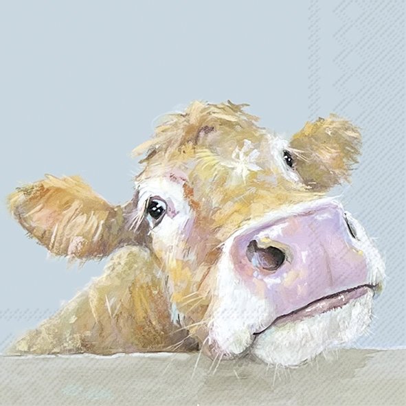 Cow Bella