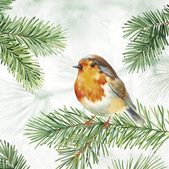 Charming Robin