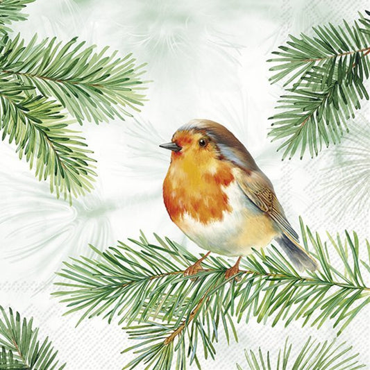Charming Robin