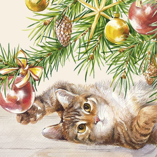 Christmas Cat