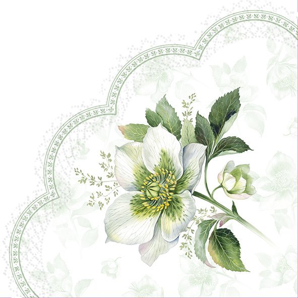 Classical Christmas Rose