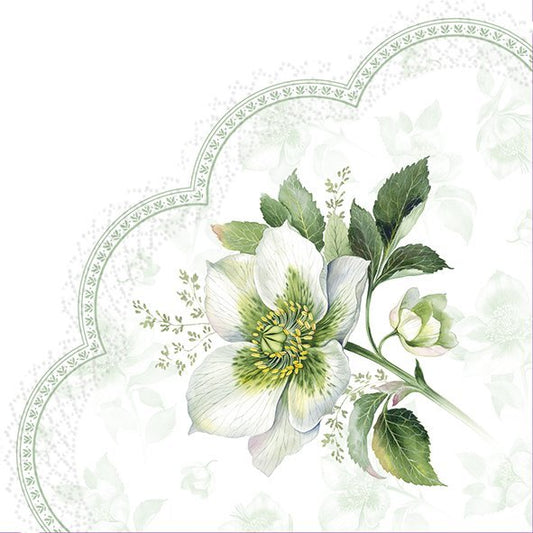 Classical Christmas Rose