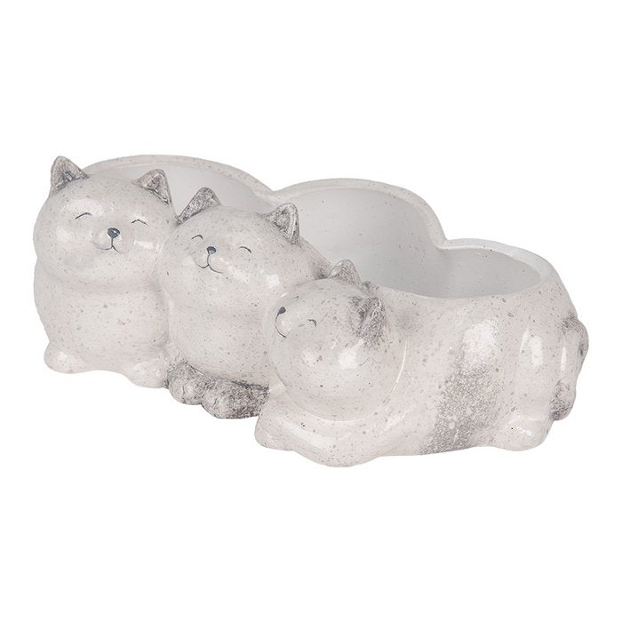 Katzen Übertopf