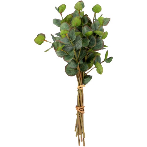 Eucalyptus Bunch