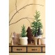 fabric fir