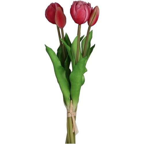 Tulpenbund, pink