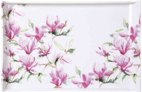plateau magnolia