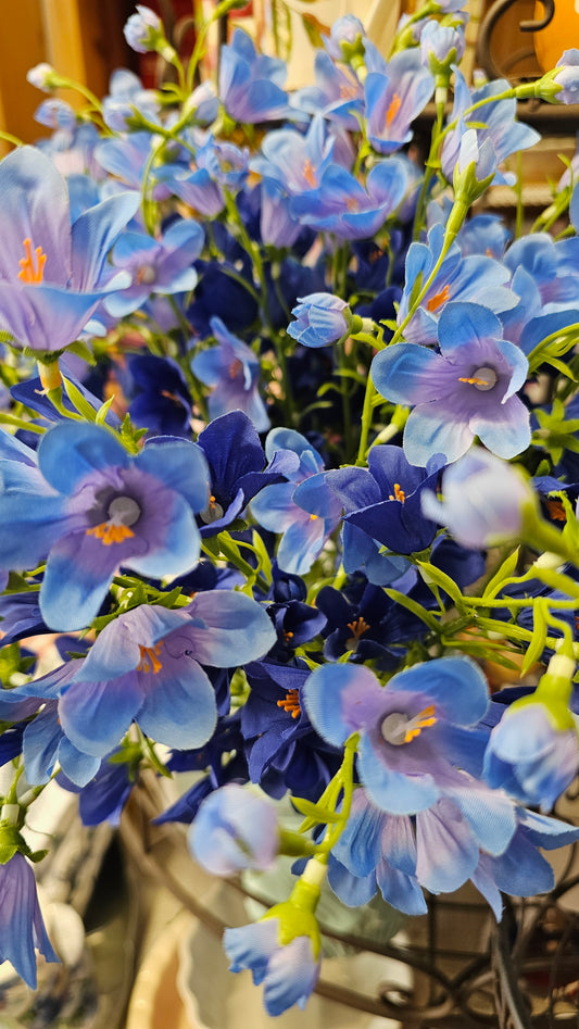 Glockenblume
