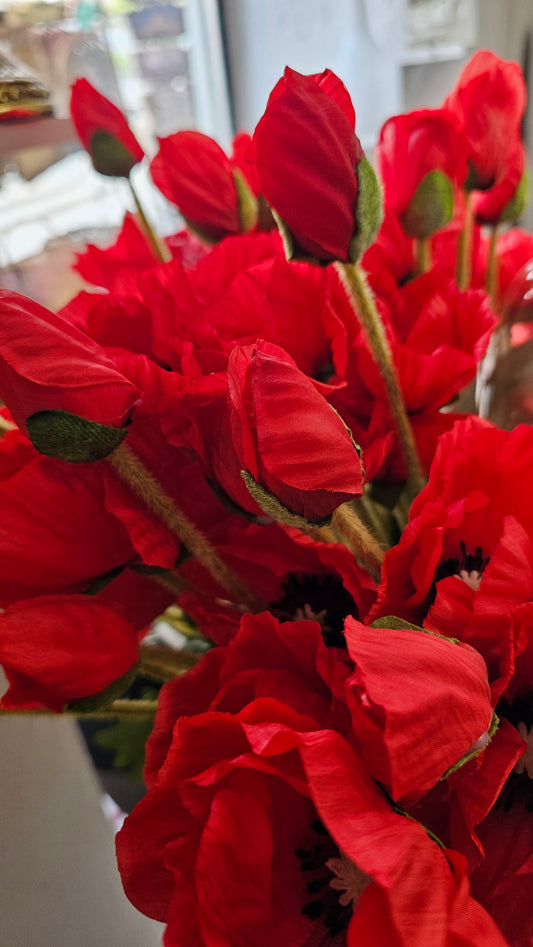 Mohn