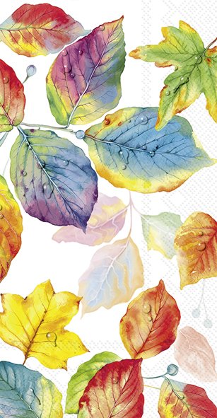 Colourful Leaves