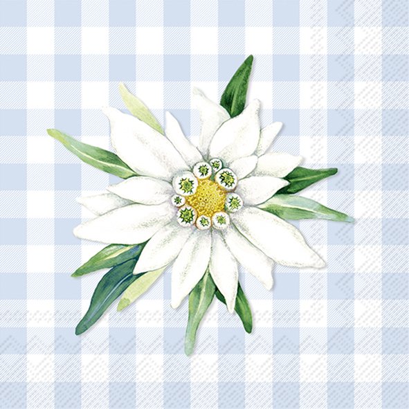 Edelweiss