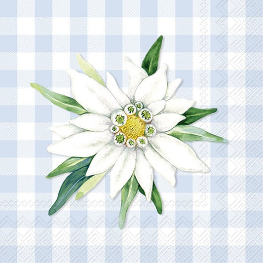 Edelweiss