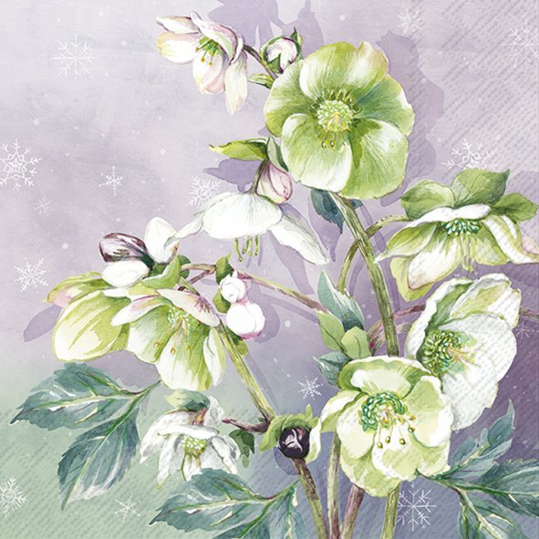 Winter Bouquet