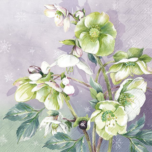 Winter Bouquet