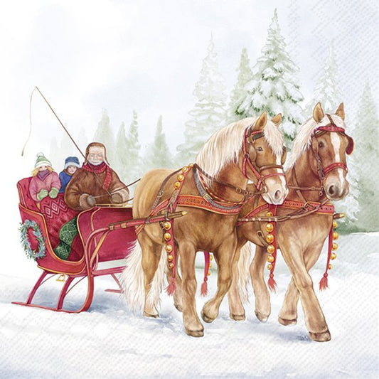 Winter Sleigh Ride
