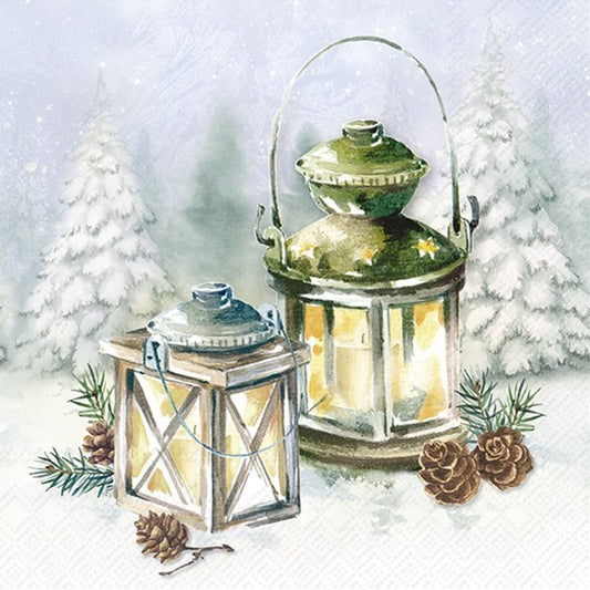 A Frosty Night