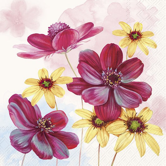 Chocolates Flowers
