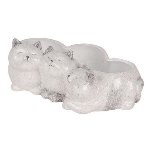 Katzen Übertopf