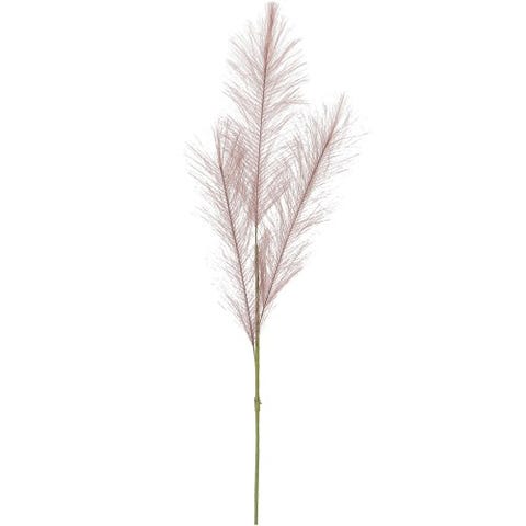 Pampas frond