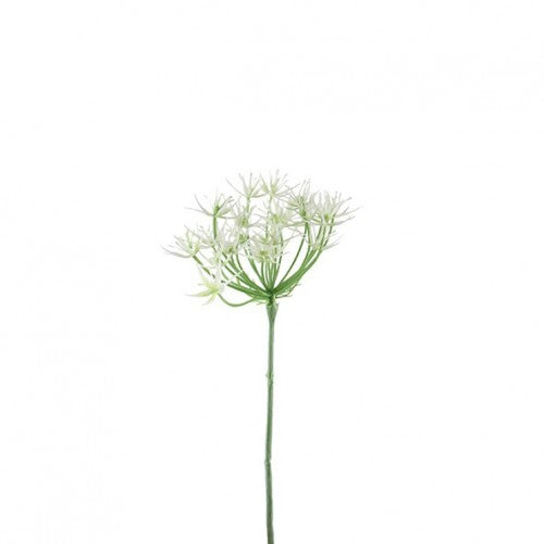 Allium Pick "Nalia"